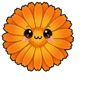 An illustration of calendula with smiley face